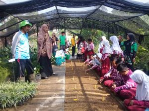 Rencanakan Punya 10 Zona Koleksi, Pemkab Terus Lakukan Penataan Kebun Raya Balangan