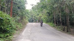 Beberapa Ruas Jalan di Balangan Siap Diperbaiki di Tahun 2025