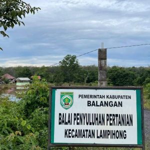 Tujuh Balai Penyuluhan Pertanian di Rehab Pemkab Balangan