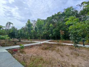 4,5 Hektar Kawasan Hutan Kota di Balagan di Bangunkan Sejumlah Fasilitas Oleh Pemkab