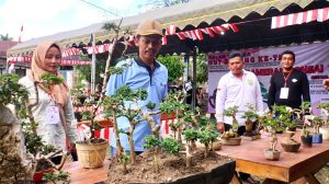 Meriahkan HUT ke-79 RI di Desa Sumber Rejeki Gelar Pameran Bonsai dan Deklarasi PPBI