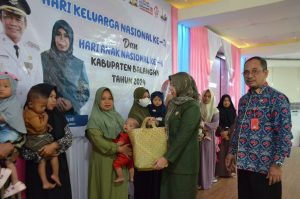 Sinergi Cegah Pernikahan Dini dan Lawan Stunting di Peringatan Harganas dan HAN di Balangan