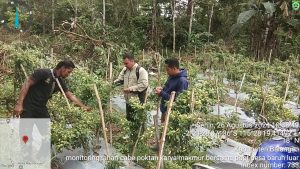 Tim BPP Parsel Melaksanakan Kunjungan dan Dampingi Petani Cabai, Guna Tingkatkan Produktivitas