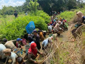 Warga Lestarikan Tradisi Menangkap Ikan di Sungai Tebing Tinggi