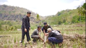 Pasang Patok saat Mudik, Cara Cegah Sengketa Tanah di Kampung Halaman
