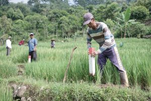 GEMAPATAS Akan Dicanangkan Serentak di 23 Kabupaten/Kota