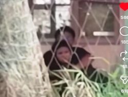 Video Sejoli Berduaan di Belakang Sekolah Dasar di Paringin Viral, Ketua RT Beri Imbauan Keras