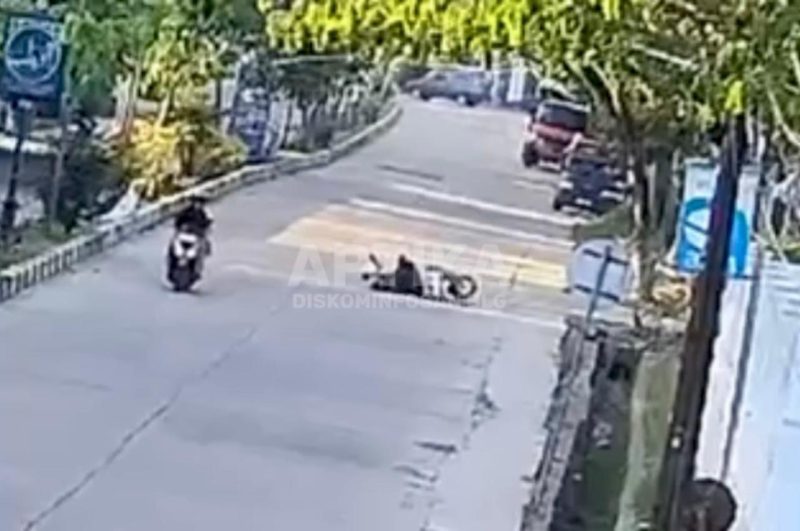 Viral “Oknum Kucing” Penyebab Kecelakaan di Jalan Nasional Balangan