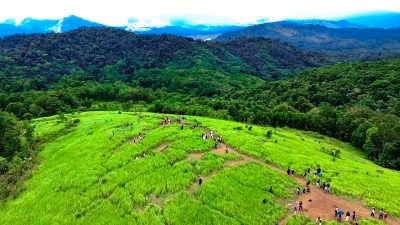 Bukit Japan Suguhkan Hamparan Ilalang Nan Hijau Dengan Background Pegunungan