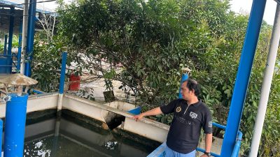 Bocah 7 Tahun Ditemukan Meninggal Dunia di Penampungan PDAM Desa Badalungga
