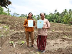 Reforma Agraria Desa Soso, Menguatkan Peran Petani Perempuan Menuju Kesejahteraan