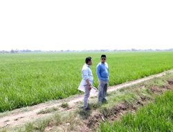 Tinjau Kawasan Industri di Indramayu, Menteri Nusron Pastikan Lahan Tidak Masuk ke LSD