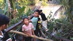 Jembatan Penghubung Desa Hujan Mas – Tarangan Hampir Putus