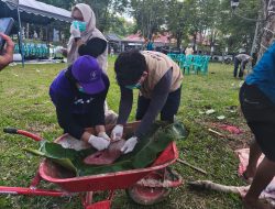 Pemeriksaan Kesehatan Hewan Kurban di Balangan Berjalan Aman Lancar Terkendali