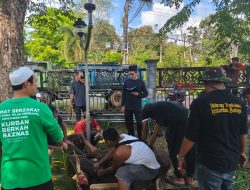 Wabup Balangan H. Akhmad Fauzi Sembelih Hewan Kurban