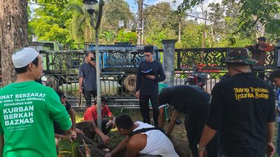 Wabup Balangan H. Akhmad Fauzi Sembelih Hewan Kurban