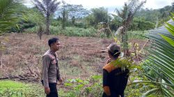 Polsek Awayan Aktif Dorong Ketahanan Pangan Nasional Melalui Program Tanam Jagung