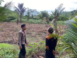 Polsek Awayan Aktif Dorong Ketahanan Pangan Nasional Melalui Program Tanam Jagung
