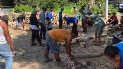 Warga Margo Mulyo Lestarikan Tradisi Mengayu Sambut Pesta Perkawinan Ada