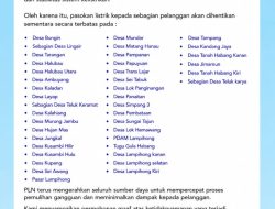 PLN Umumkan Pemadaman Listrik Bergilir di Lampihong dan Sekitarnya Hari Ini