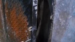 Sarang Burung Walet Warga Panggung Dibobol Maling, Gembok dan Pintu Dirusak
