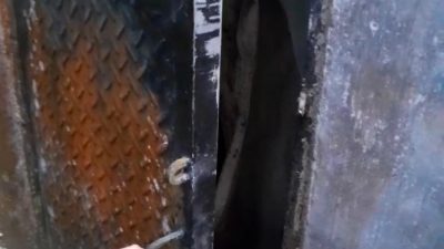 Sarang Burung Walet Warga Panggung Dibobol Maling, Gembok dan Pintu Dirusak