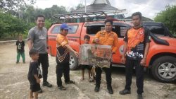 TRC BPBD Balangan Amankan Monyet Liar di Desa Tariwin