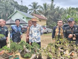 Festival Mesiwah Pare Gumboh Dorong UMKM Halong Tumbuh Bersama Masyarakat