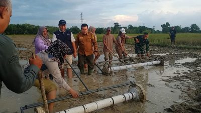 BPP Paringin Selatan Terapkan Metode PM-AAS Tingkatkan Produktivitas Padi Balangan