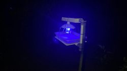 ECOGUARD Light Trap Inovasi Anak Balangan Kendalikan Hama Ramah Lingkungan