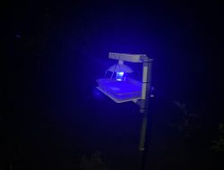 ECOGUARD Light Trap Inovasi Anak Balangan Kendalikan Hama Ramah Lingkungan