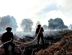 Status Siaga Darurat Karhutla dan Kekeringan hingga 30 Oktober