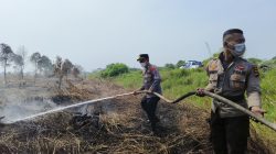 Kapolres Balangan Bantu Padamkan Kebakaran Lahan Gambut di HSU