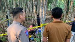 Pelajar Meninggal Dunia dalam Kecelakaan Tunggal di Batumandi