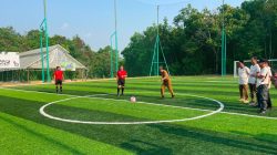 Piala Bupati Cup 2026 Jadi Ajang Pembinaan Mini Soccer Balangan