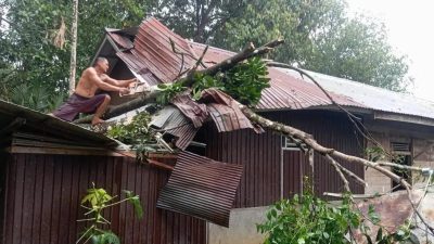 Hujan Lebat dan Angin Kencang Tumbangkan Pohon, Rumah Warga di Halong Rusak