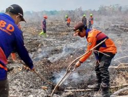 BPBD Balangan Perketat Patroli di Wilayah Rawan Karhutla