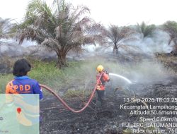 Karhutla Kembali Terjadi di Desa Mantimin, TRC BPBD dan Warga Padamkan Api