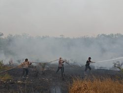 Dua Karhutla Kembali Terjadi di Batumandi, Polres Balangan Bergerak Cepat