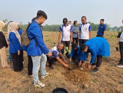 PC PMII dan Polres Balangan Bersinergi Hijaukan Lingkungan